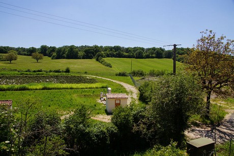 Martel