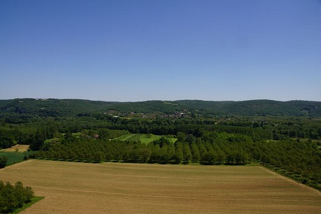 Martel
