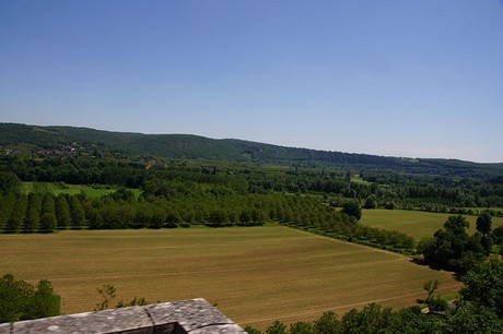Martel