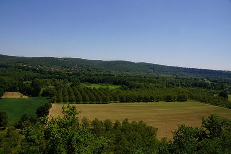 Martel